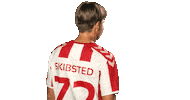 Aalborg Sticker by esuperliga