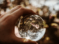 GIF by FranchiseONE.de