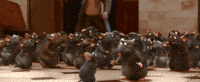 pixar gif ratatouille GIF by Disney Pixar