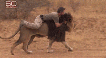 Man Friend GIF