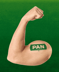Zlatnipan GIF by Pan pivo
