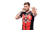 Sport Handball Sticker by CAVIGAL NICE HANBDALL