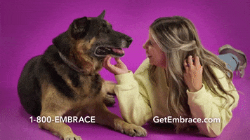 Dog Insurance GIF by Embrace Pet Insurance