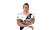 Serious Los Angeles Galaxy Sticker by LA Galaxy
