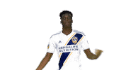 Los Angeles Galaxy Sticker by LA Galaxy