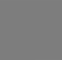 chippythedog love i love you chippythedog حب GIF