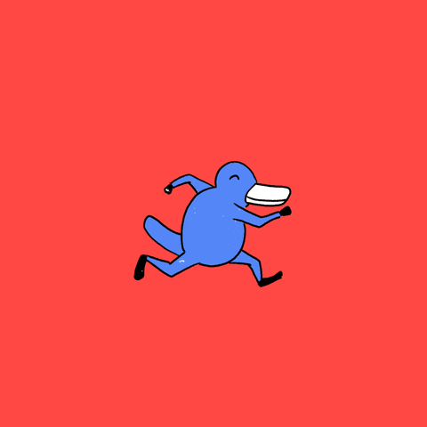 Run Platypus GIF by Seth Safety