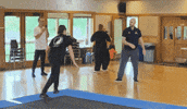 Martial Arts Kungfu GIF by Shoreline Tai Chi
