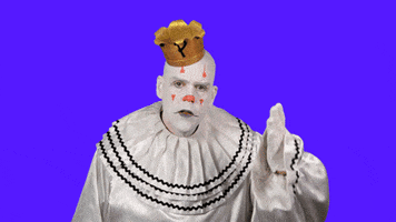 duh GIF by Puddles Pity Party