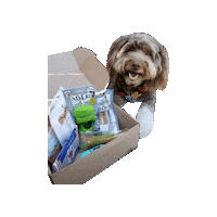 Happy Dog Pep Sticker by Geekster Pets