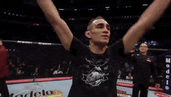 ufc 229 sport GIF by UFC