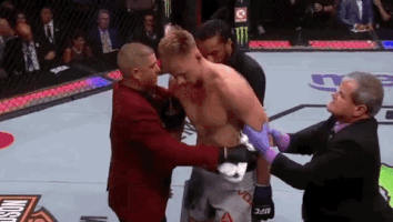 ufc 229 sport GIF by UFC