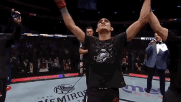 ufc 229 sport GIF by UFC