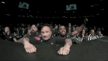 ufc 229 sport GIF by UFC