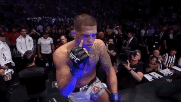 ufc 229 sport GIF by UFC