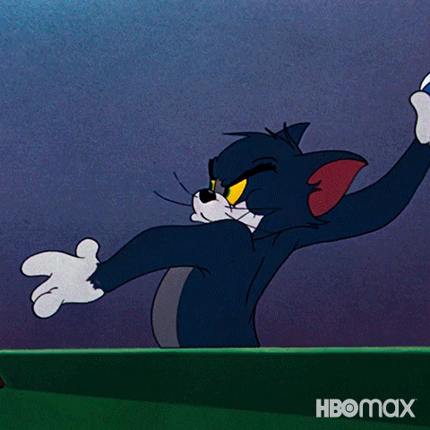Chasing Tom And Jerry GIF by HBO Max