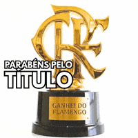 Futebol Parabens GIF