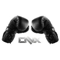 Kamaru Usman Fight Sticker by ONX Sports