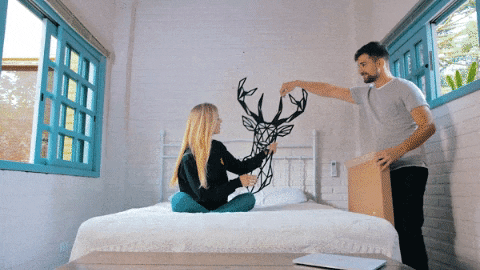 alinepereirae0d3 giphygifmaker GIF