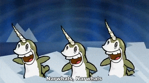 narwhals GIF