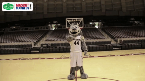 southern illinois siu GIF by Missouri Valley Conference