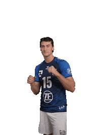 Friedrichshafen Sticker by Volleyball Bundesliga