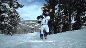 bigblue GIF by Utah State University