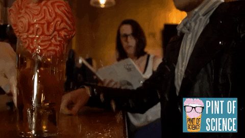 Pintsworld giphygifmaker barney GIF