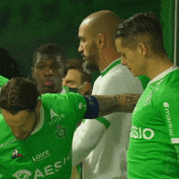Football Sport GIF by AS Saint-Étienne
