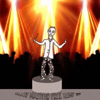 CRAZY MAESTRO (sorry with sound)