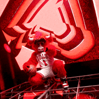 Benny The Bull Sport GIF by Chicago Bulls
