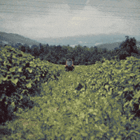 Pinzgau Salzburg GIF by BILLA