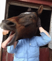 Horse Laughing GIF