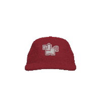 frankyshats hat amsterdam cap hats Sticker