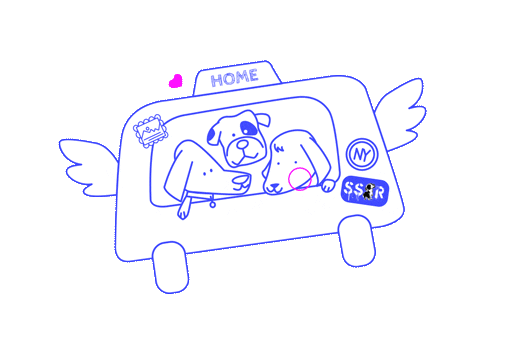 Seespotrescued giphyupload home donate adopt Sticker