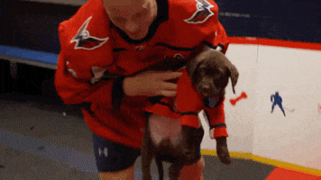 Ice Hockey Dog GIF by NHL