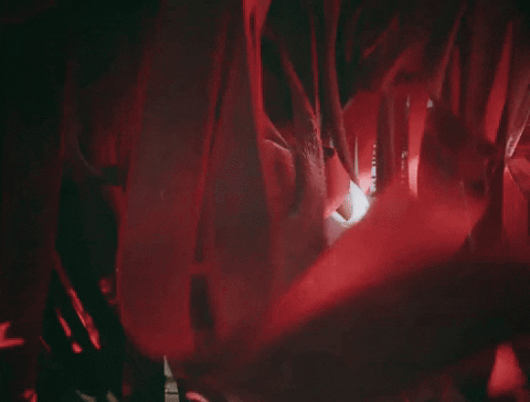 Chanel Pit GIF by Tierra Whack