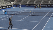 Serena Williams GIF by WTA