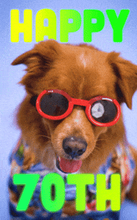 You Are Old Happy Birthday GIF by Sealed With A GIF