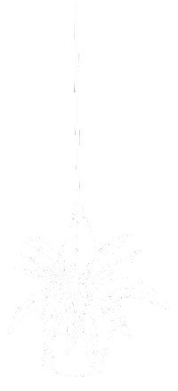 Plant Line Sticker