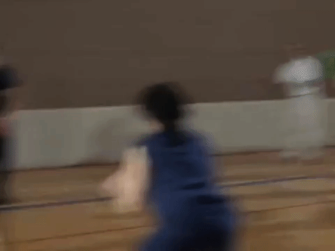 the mystery files of shelby woo nicksplat GIF