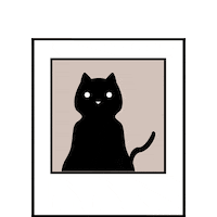 Photography Photo Sticker