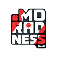 Moradness racing motorsport rad karting Sticker
