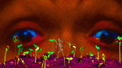 Lsd Shrooms GIF by Myles Hi
