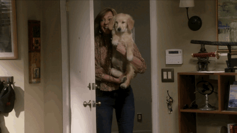 anna faris lol GIF by CBS