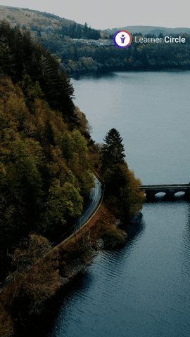 GIF by Learner Circle