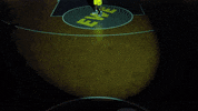 ewe baskets basketball GIF by EWE Baskets Oldenburg