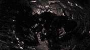 art wtf GIF by rolfes