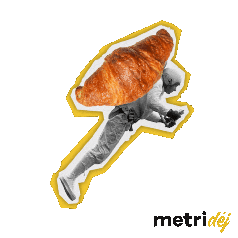 Metridej Sticker by Metricool