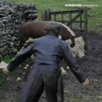 British Film GIF by Arrow Video